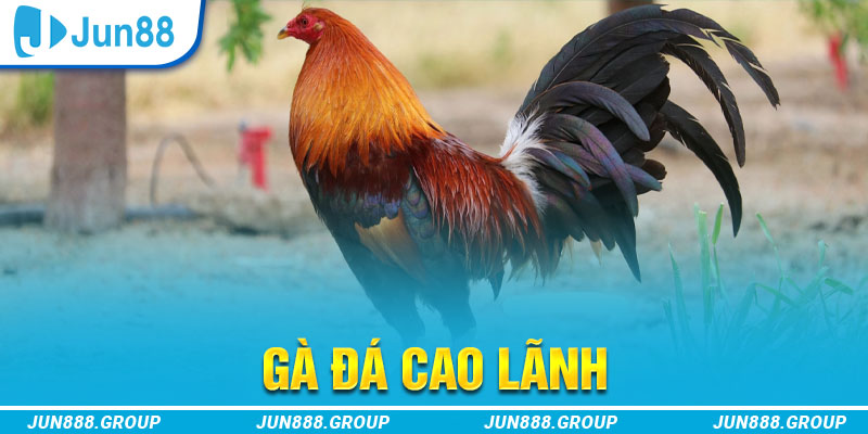 w88top chơi casino online là gì