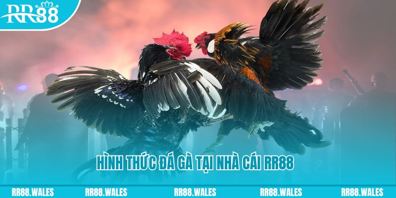 w88top game máy bay nổ hủ