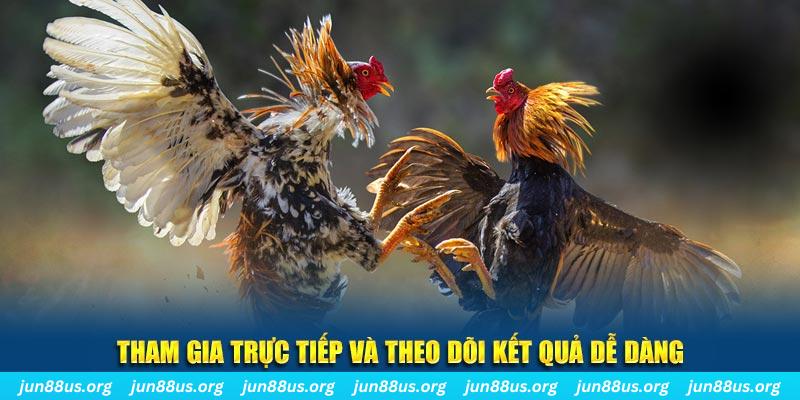 w88top đá gà thomo trực tiếp hôm nay