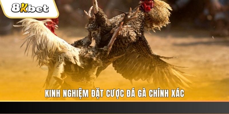 w88top baccarat là cái gì