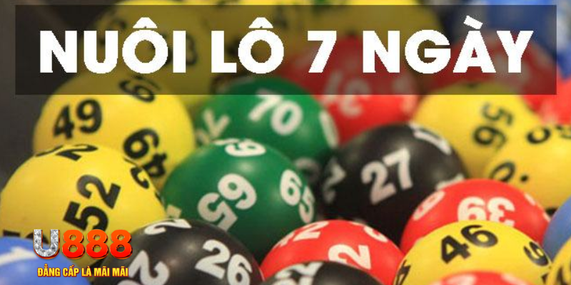 w88top what is live dealer casino