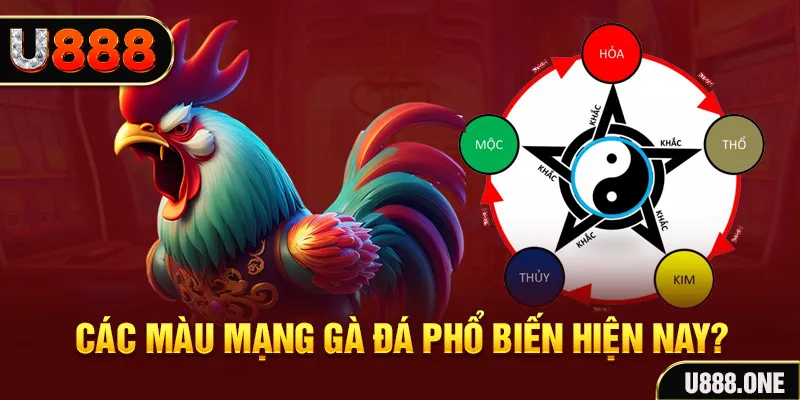w88top casino online máy tính