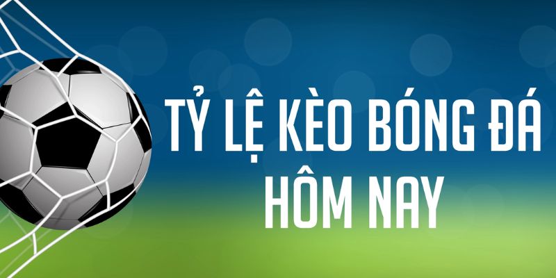 w88top đá gà cam 67