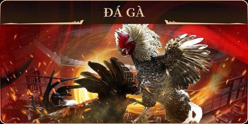 w88top game bài đổi thưởng may club