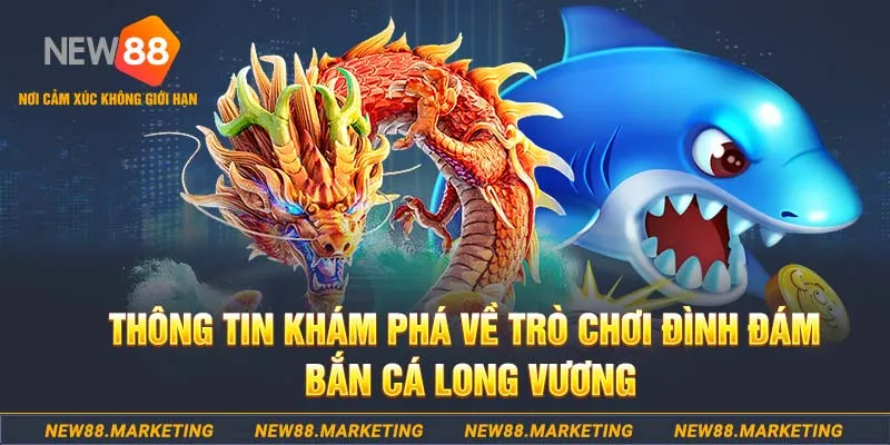 w88top Bài Poker Jackpot Kép Kép