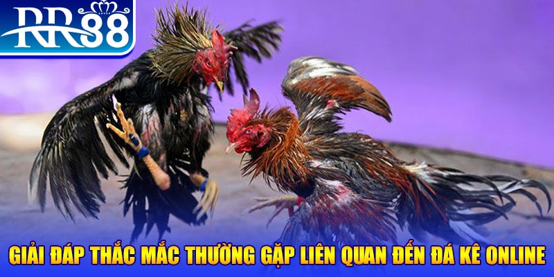 w88top máy tính casino