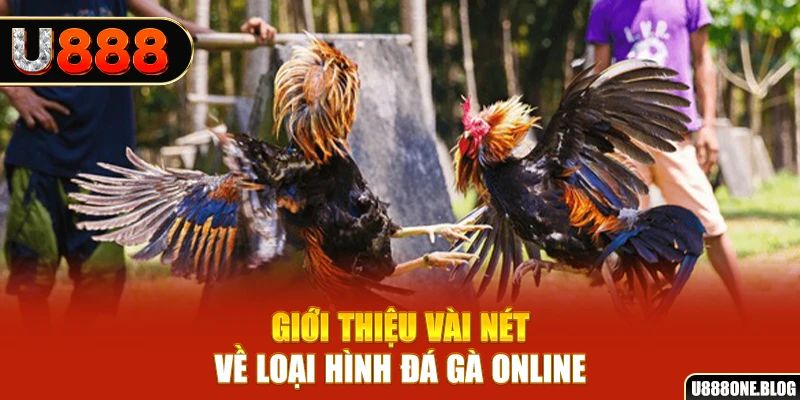 w88top đá gà trực tiếp