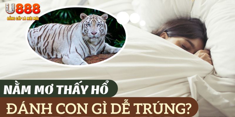 w88top Mậu Binh