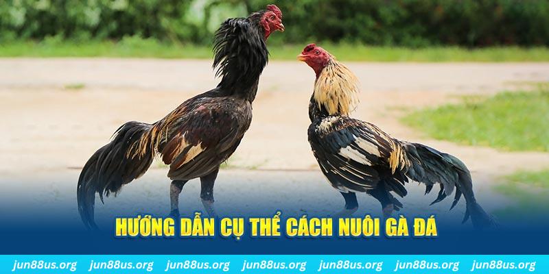 nổ hủ là gì