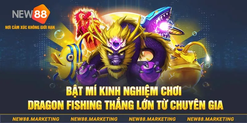 w88top người chia bài trong casino gọi là gì
