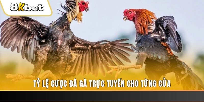 w88top ILOVEU Bắn cá