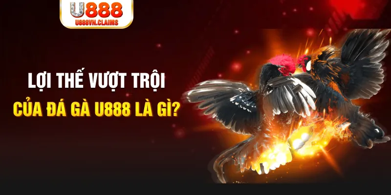 w88top xổ số thứ sáu